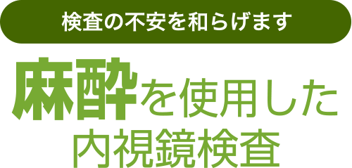 検査の不安を和らげます　麻酔を使用した
内視鏡検査